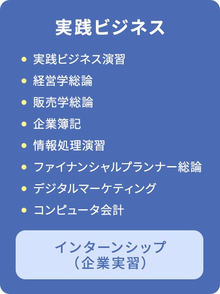 実践ビジネスのカリキュラム　実践ビジネス演習/経営学総論/販売学総論/企業簿記/情報処理演習/ファイナンシャルプランナー総論 /デジタルマーケティング/コンピュータ会計/インターンシップ （企業実習）