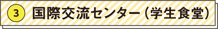 (3) 国際交流センター